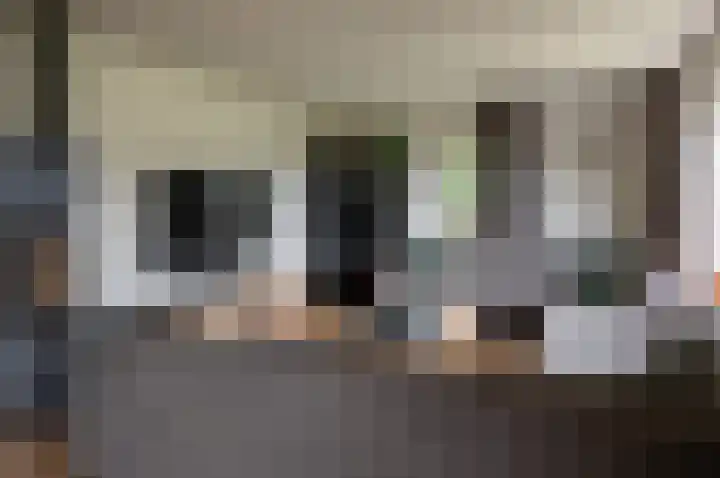 Dambroek 31 Baak thumbnail 18