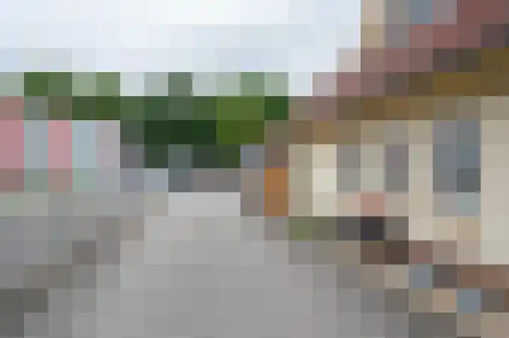 Dambroek 31 Baak thumbnail 4