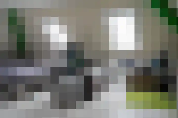Dambroek 31 Baak thumbnail 41
