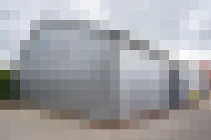 Dambroek 31 Baak thumbnail 42