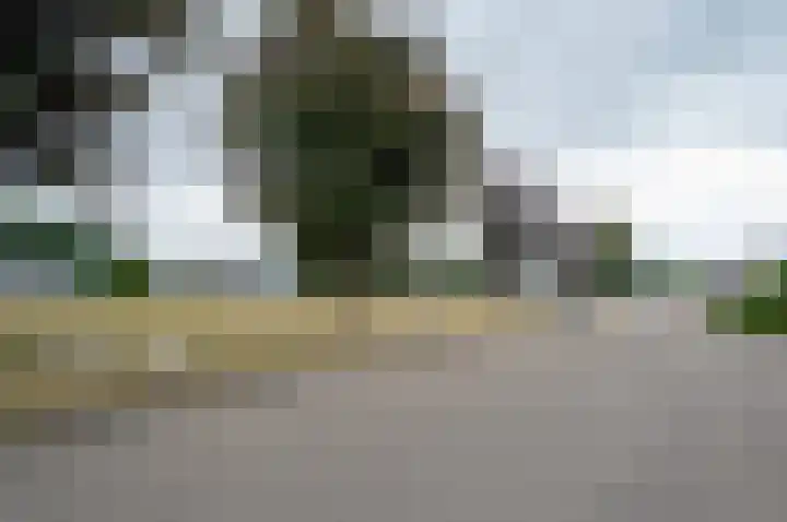 Dambroek 31 Baak thumbnail 44