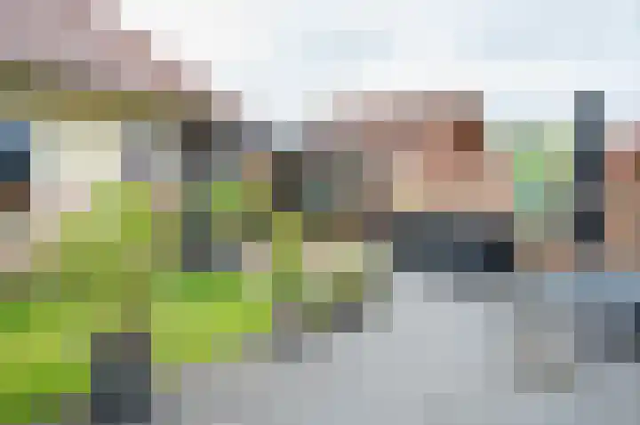 Dambroek 31 Baak thumbnail 6