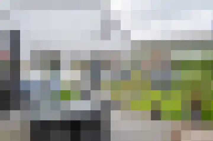 Dambroek 31 Baak thumbnail 8