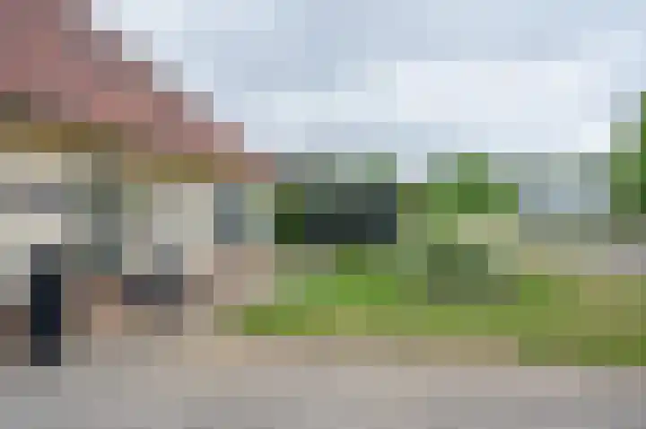Dambroek 31 Baak thumbnail 9