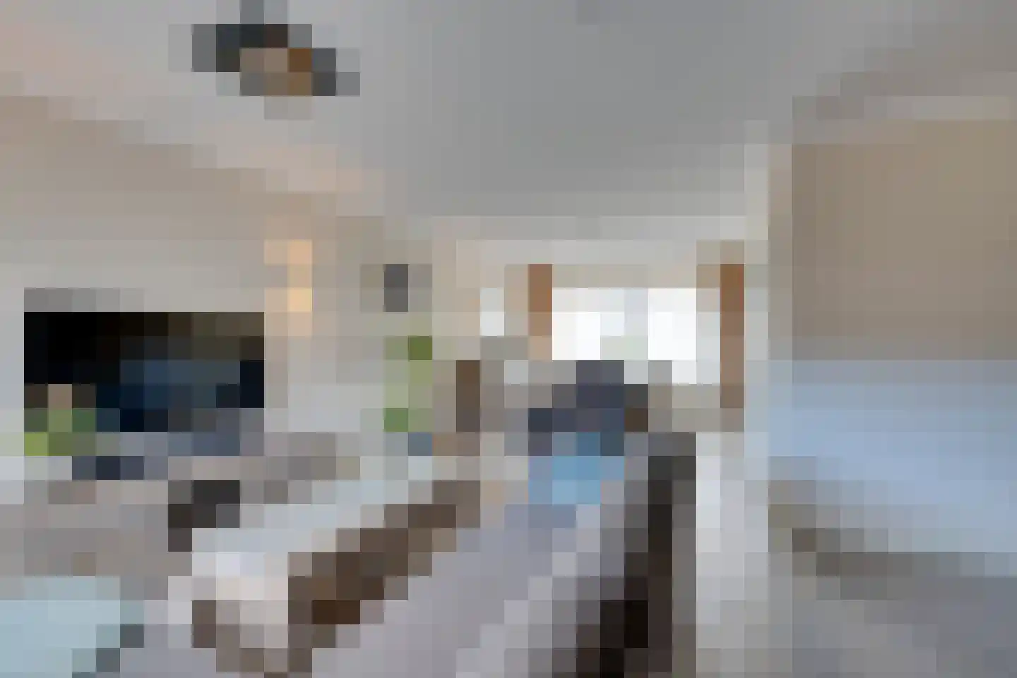 Damcoogh 19 Volendam thumbnail 10