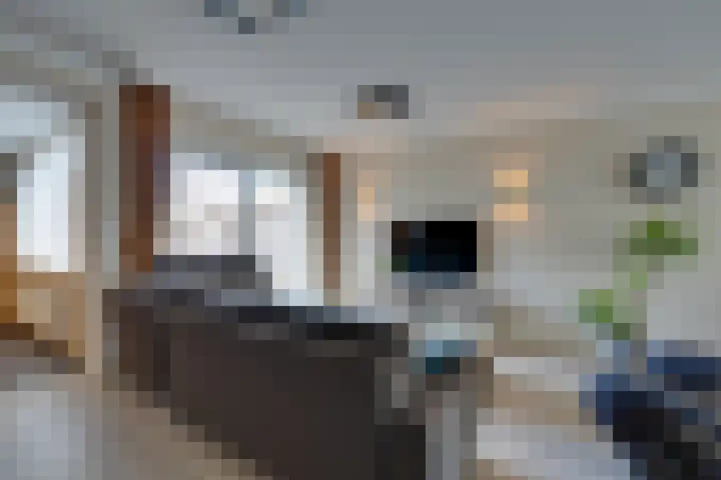 Damcoogh 19 Volendam thumbnail 11