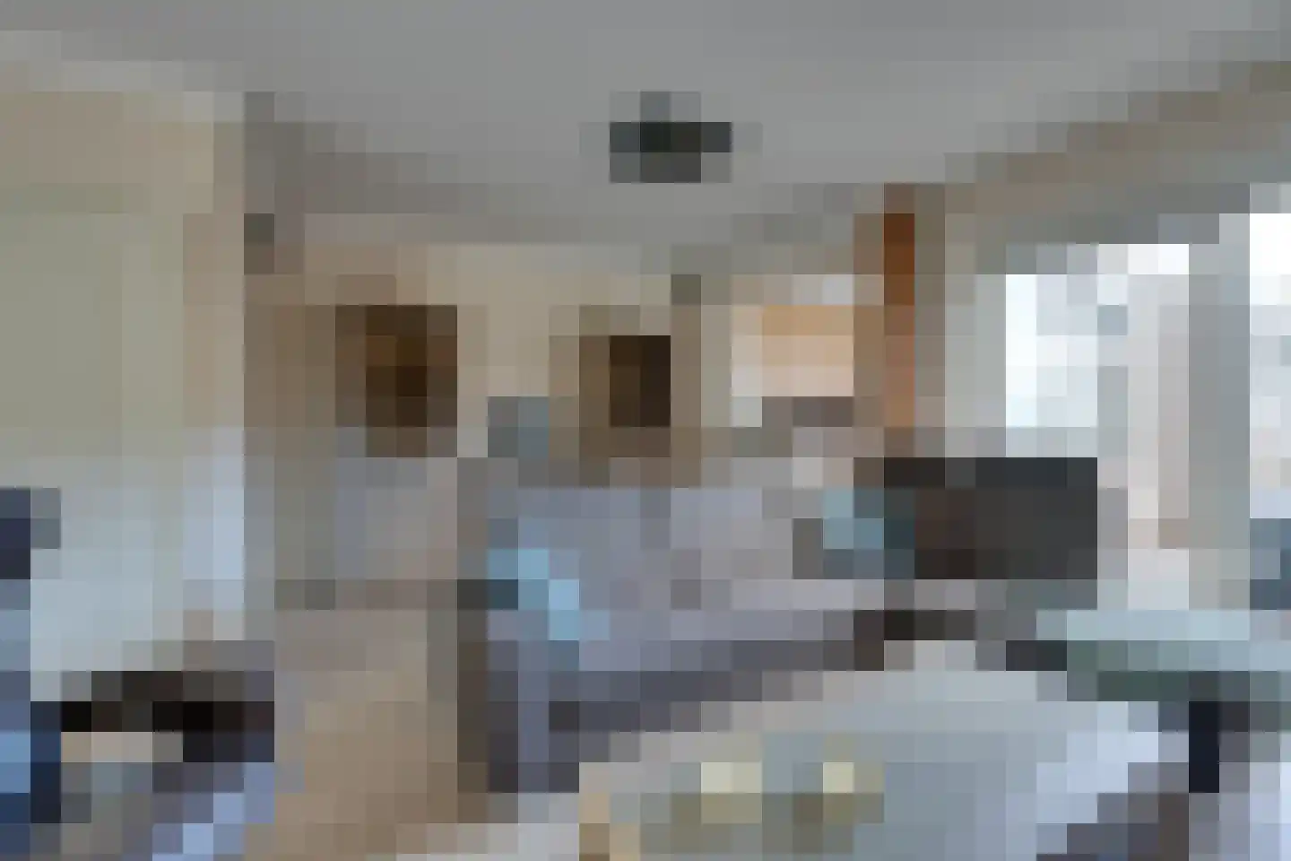 Damcoogh 19 Volendam thumbnail 13