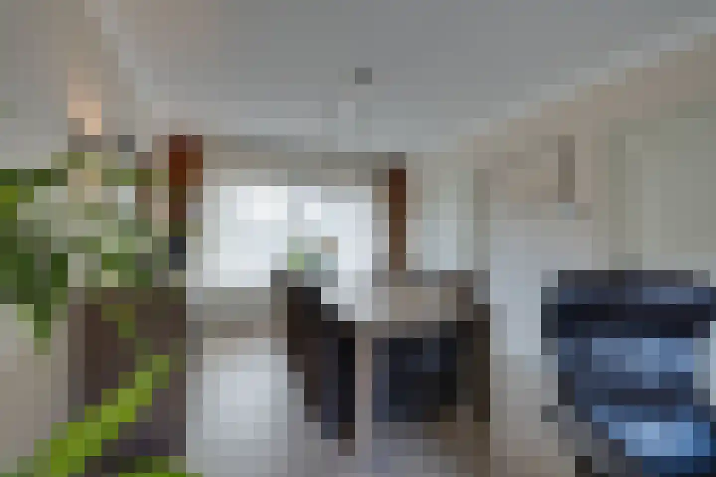 Damcoogh 19 Volendam thumbnail 15