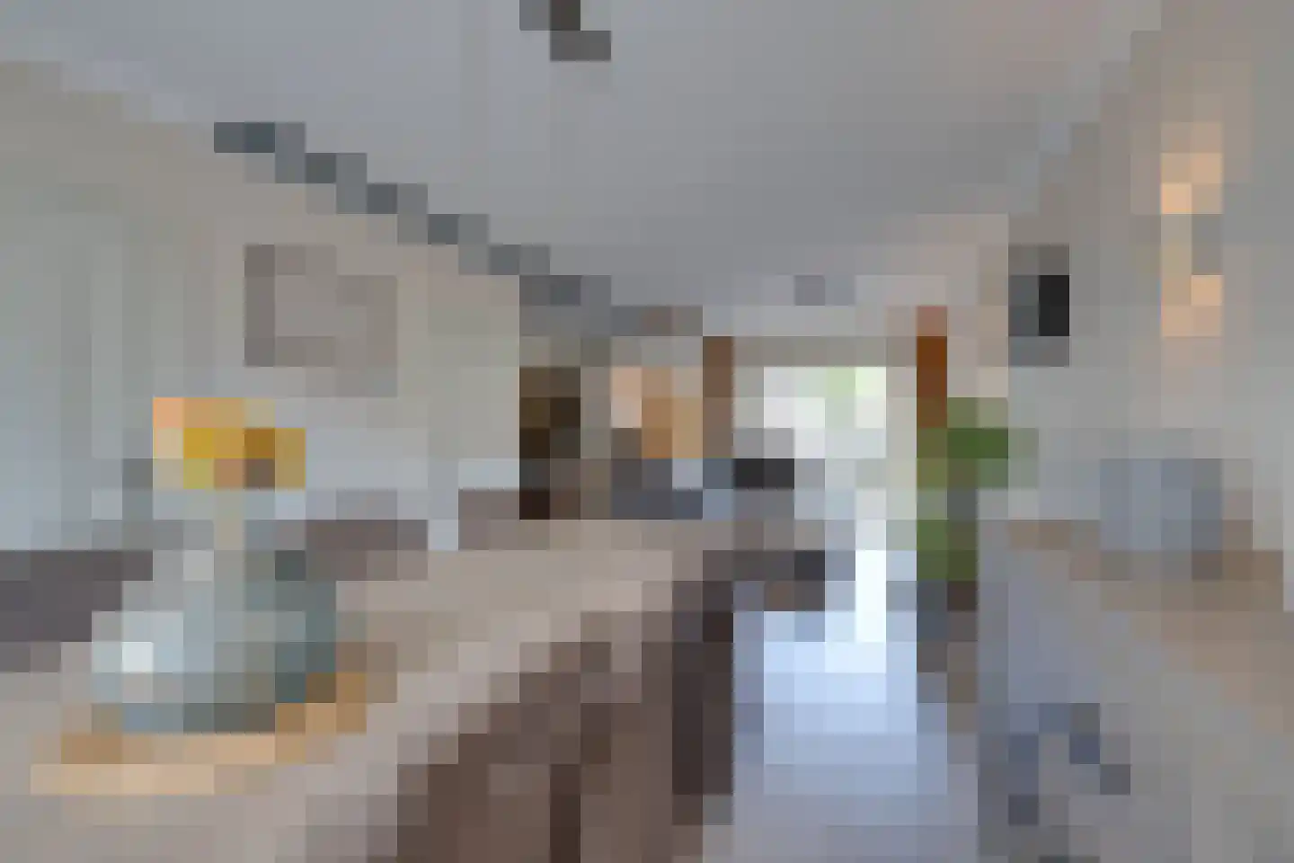 Damcoogh 19 Volendam thumbnail 16