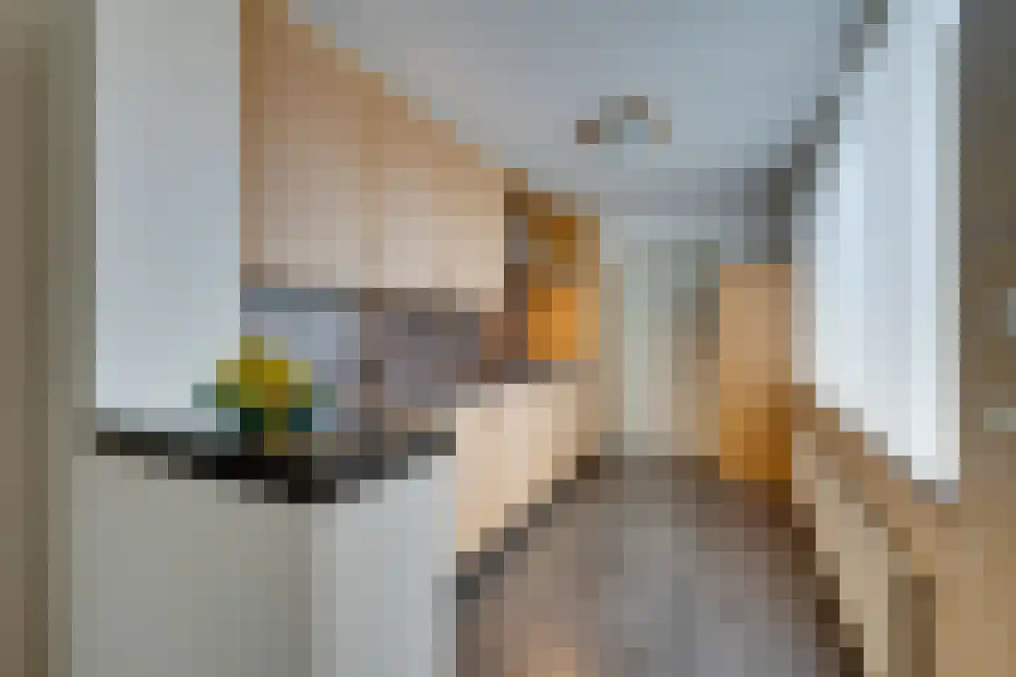 Damcoogh 19 Volendam thumbnail 18