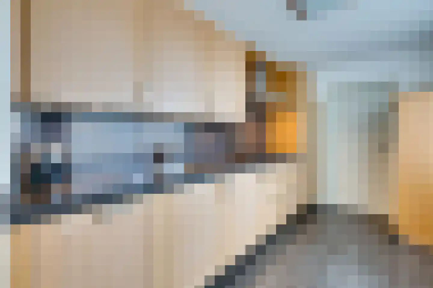 Damcoogh 19 Volendam thumbnail 19