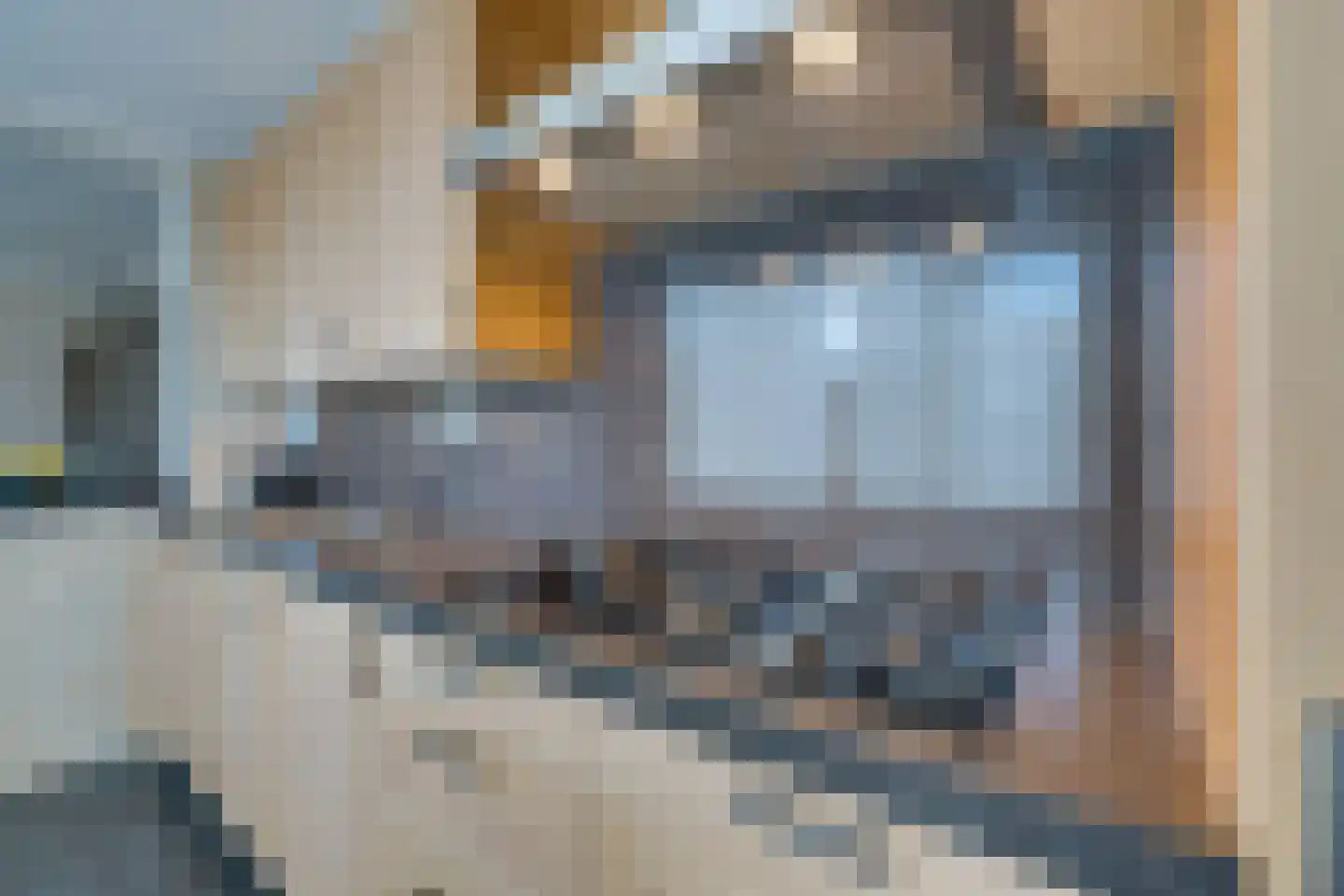 Damcoogh 19 Volendam thumbnail 20