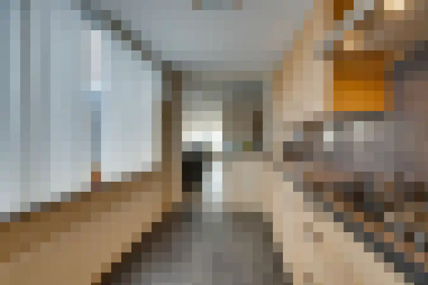 Damcoogh 19 Volendam thumbnail 21
