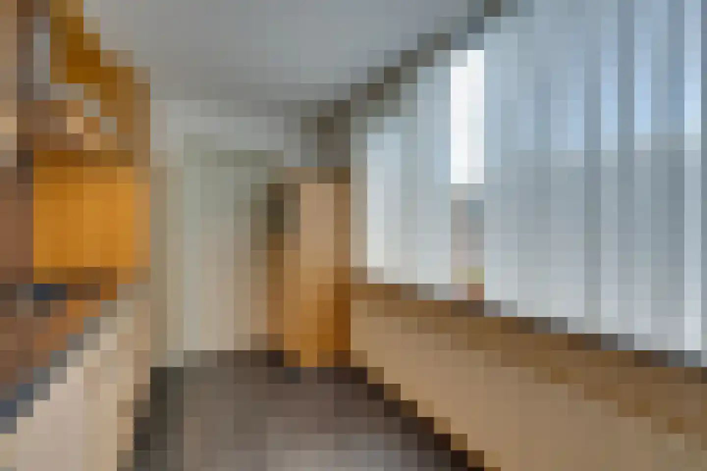 Damcoogh 19 Volendam thumbnail 22