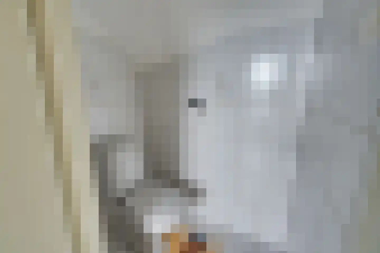 Damcoogh 19 Volendam thumbnail 32
