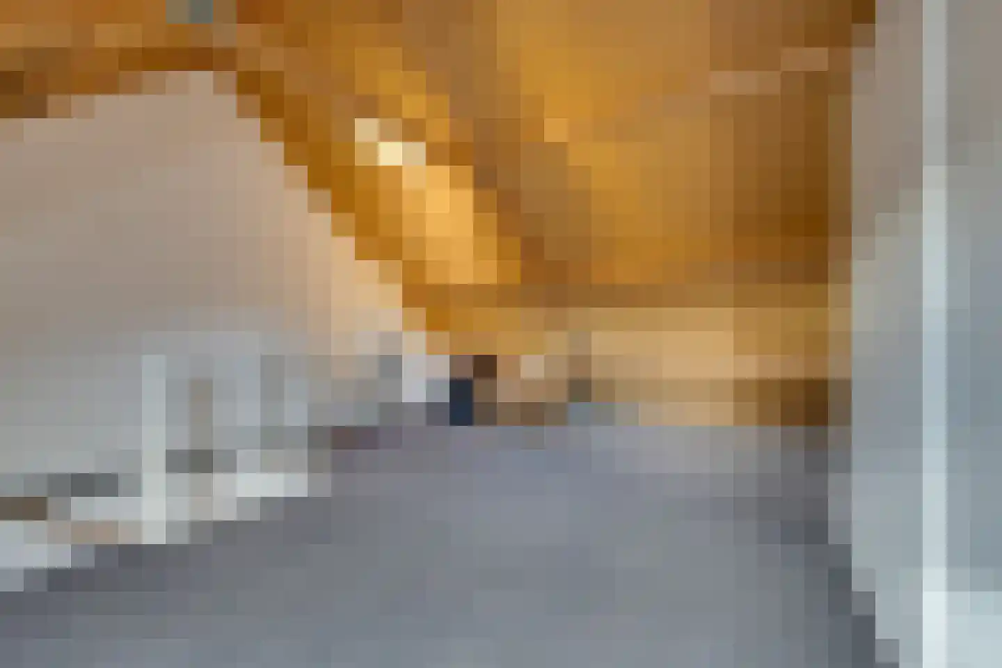 Damcoogh 19 Volendam thumbnail 44