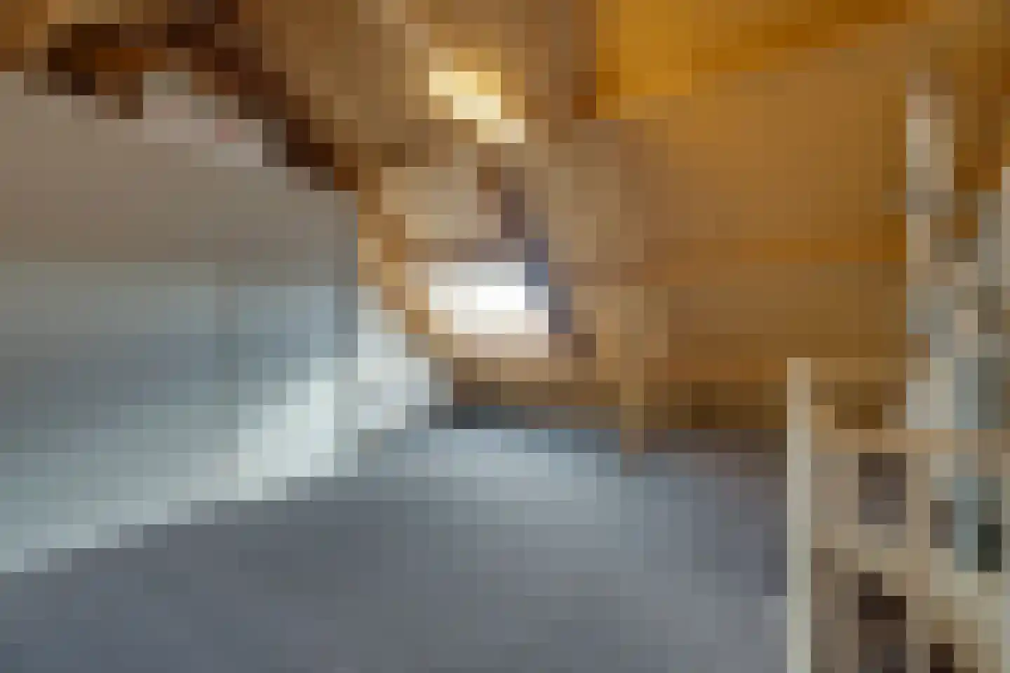 Damcoogh 19 Volendam thumbnail 46