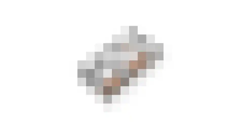 Damcoogh 19 Volendam thumbnail 53