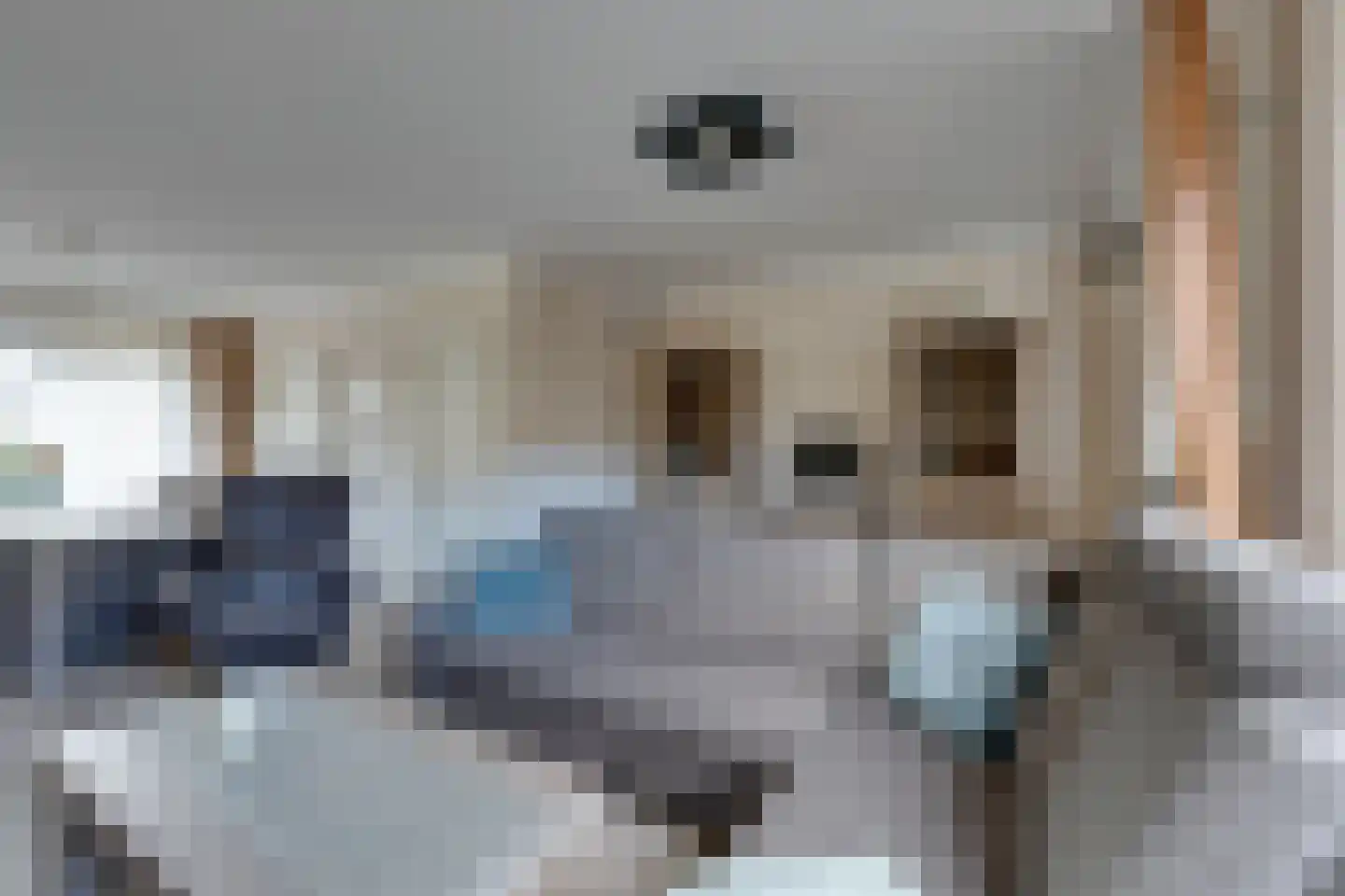 Damcoogh 19 Volendam thumbnail 8