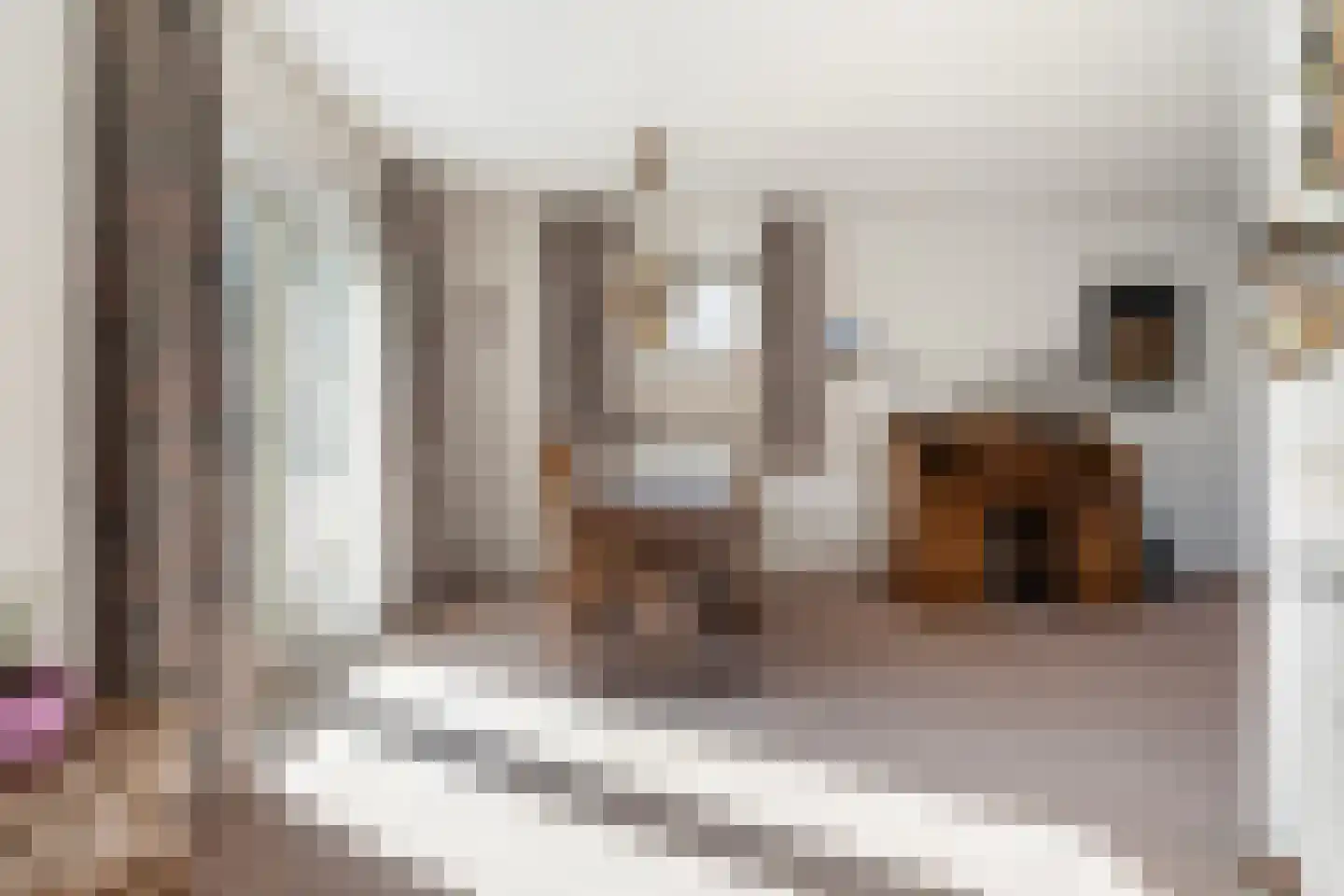 Dames Masselinkstrjitte 7 Sneek thumbnail 14