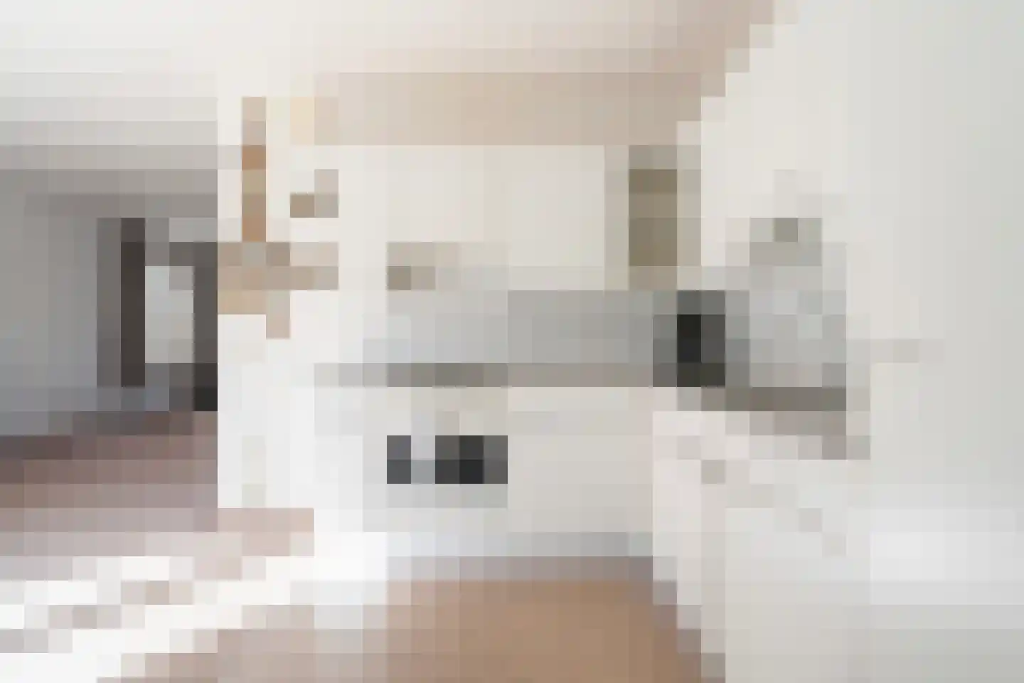 Dames Masselinkstrjitte 7 Sneek thumbnail 16