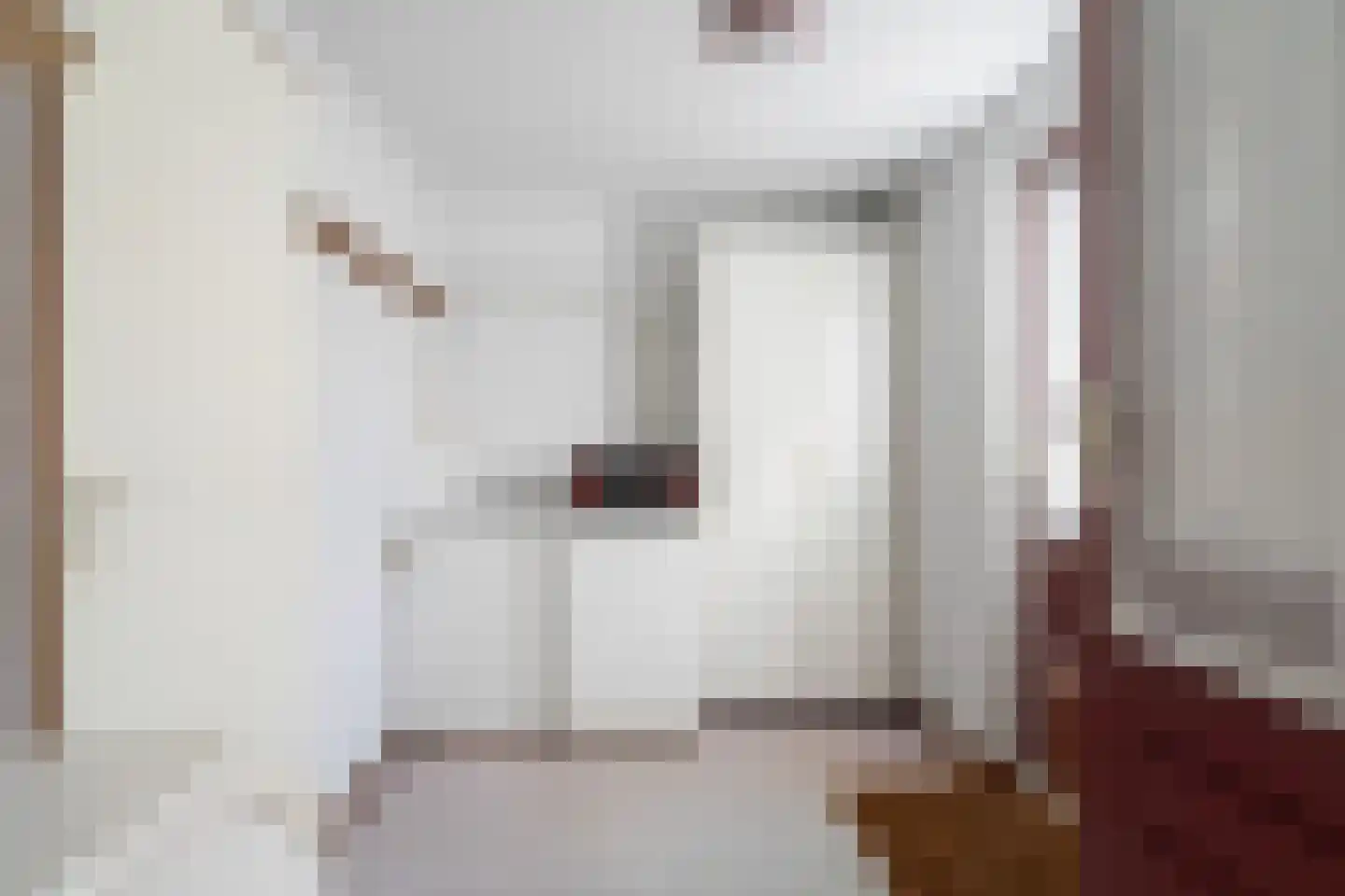 Dames Masselinkstrjitte 7 Sneek thumbnail 17