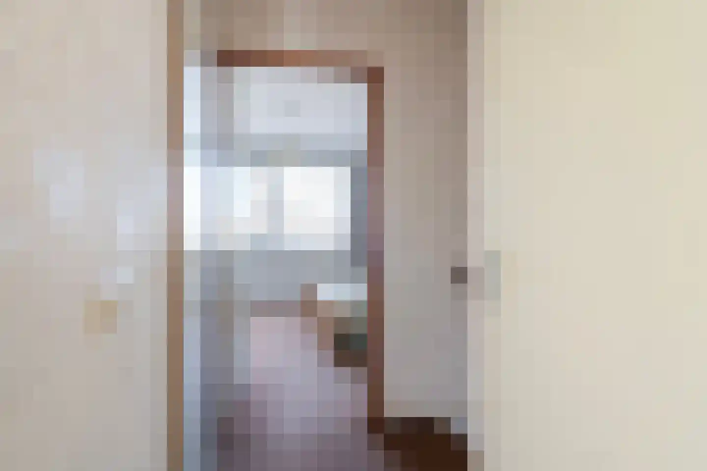Dames Masselinkstrjitte 7 Sneek thumbnail 18