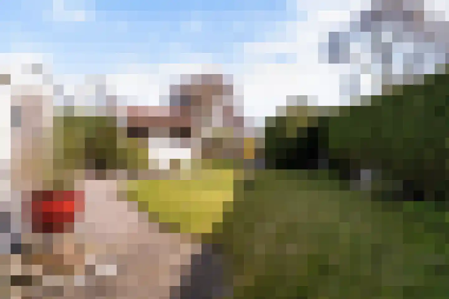 Dames Masselinkstrjitte 7 Sneek thumbnail 33
