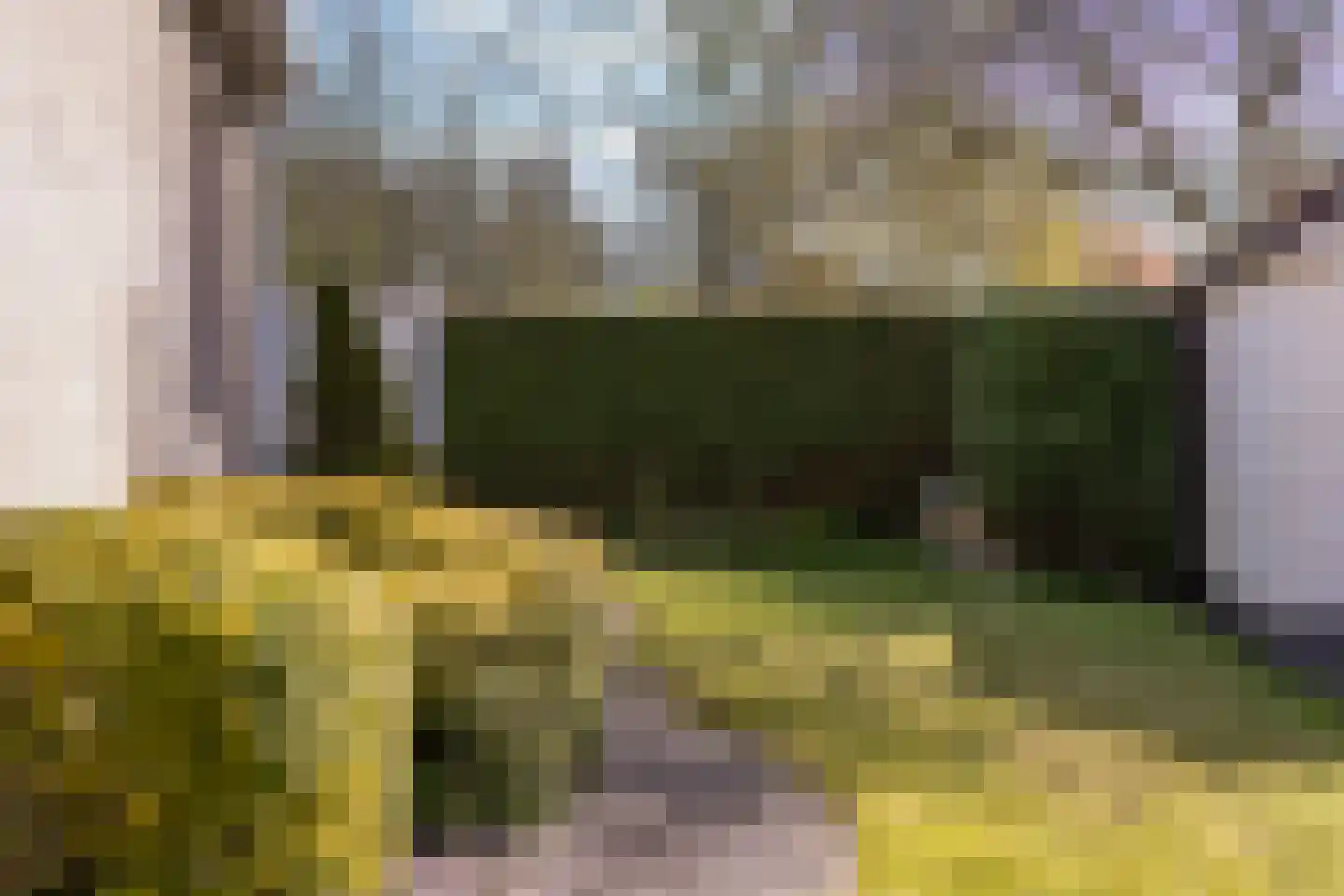 Dames Masselinkstrjitte 7 Sneek thumbnail 37