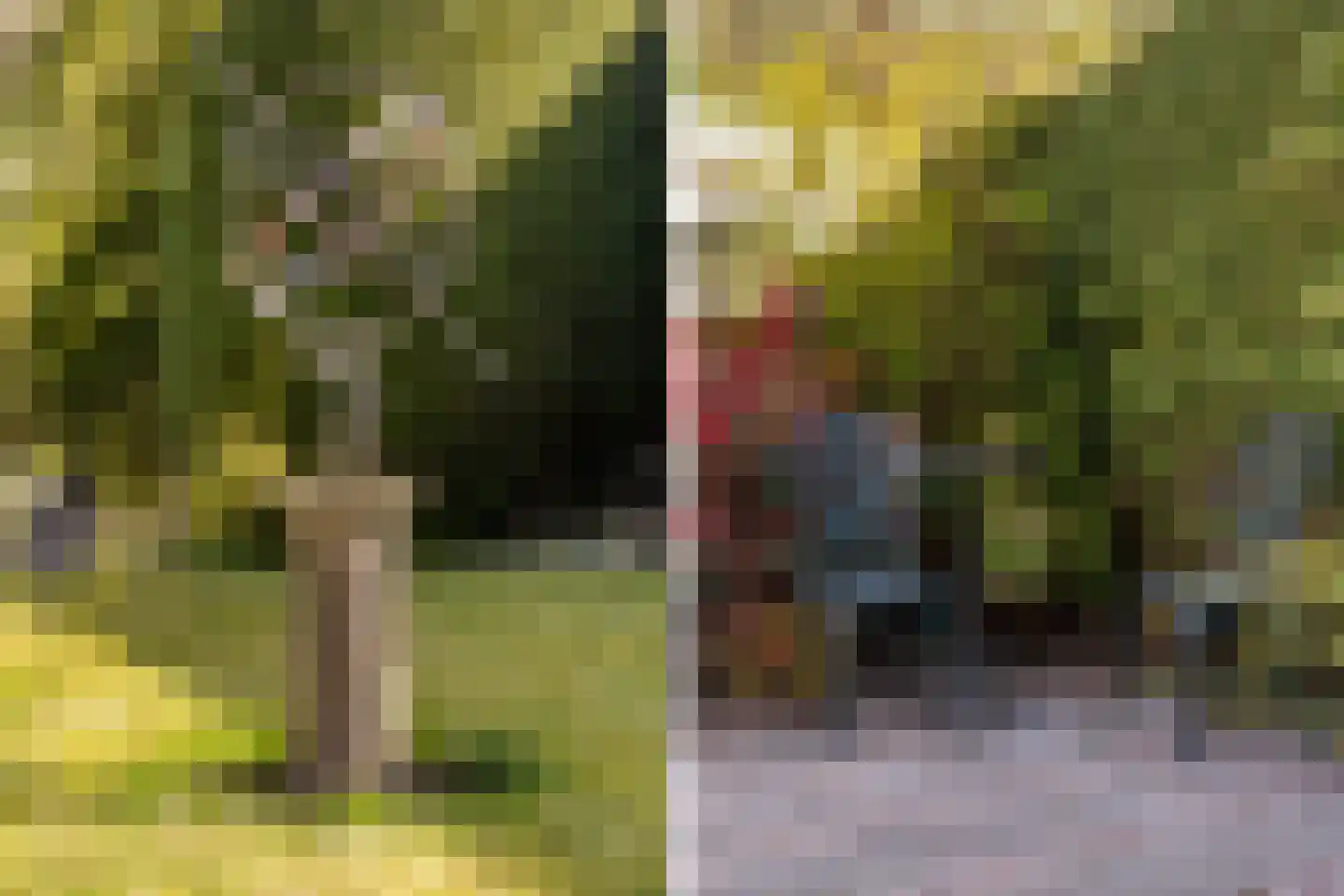 Dames Masselinkstrjitte 7 Sneek thumbnail 38