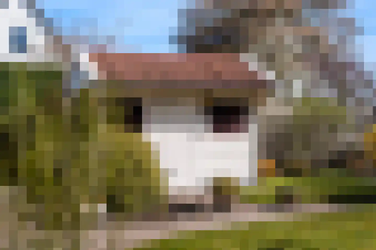 Dames Masselinkstrjitte 7 Sneek thumbnail 39