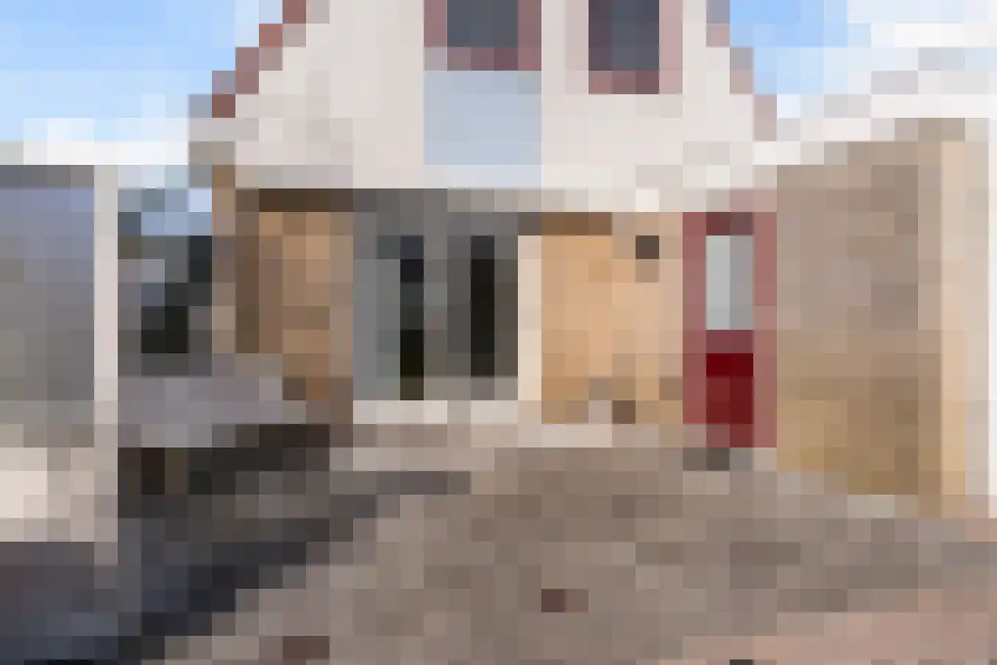 Dames Masselinkstrjitte 7 Sneek thumbnail 41