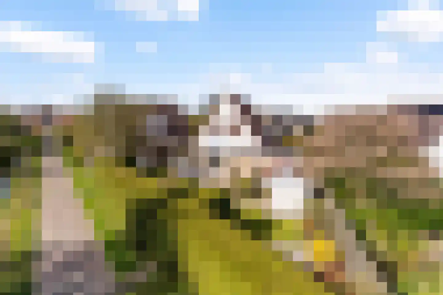 Dames Masselinkstrjitte 7 Sneek thumbnail 45