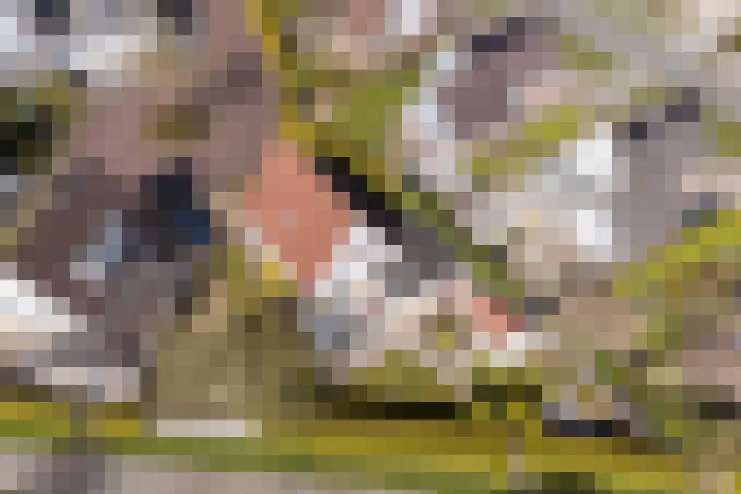 Dames Masselinkstrjitte 7 Sneek thumbnail 51