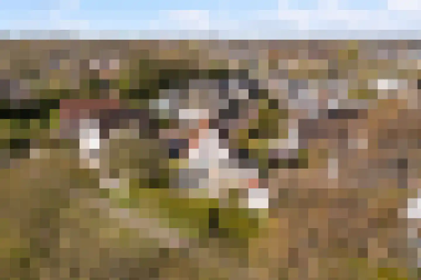 Dames Masselinkstrjitte 7 Sneek thumbnail 52