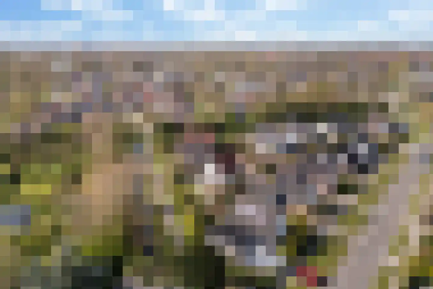 Dames Masselinkstrjitte 7 Sneek thumbnail 54