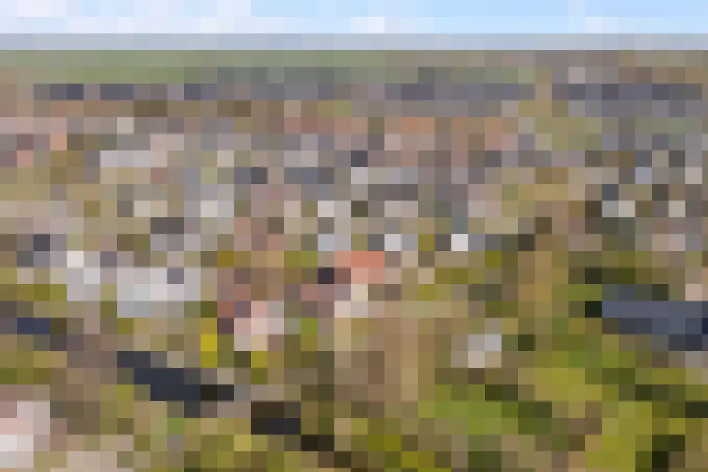 Dames Masselinkstrjitte 7 Sneek thumbnail 55