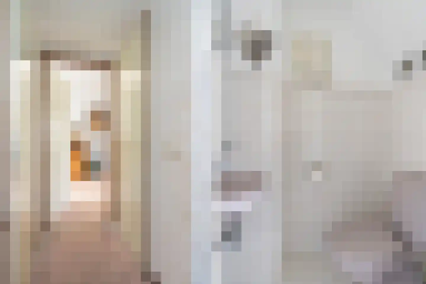 Dames Masselinkstrjitte 7 Sneek thumbnail 7