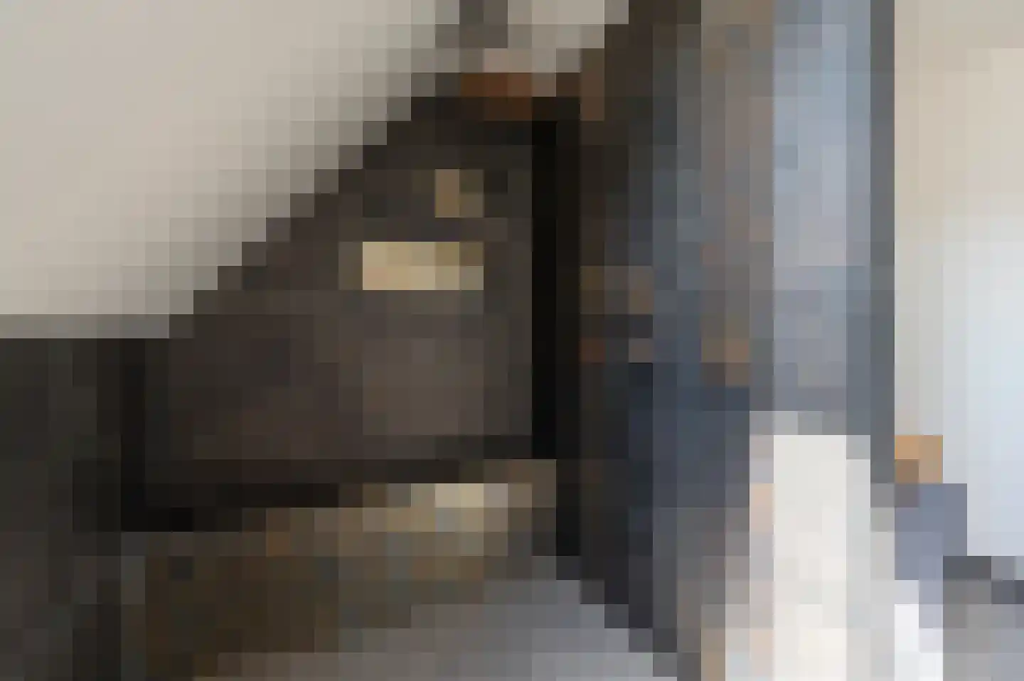 Dames Tijssenstraat 32 Putten thumbnail 31