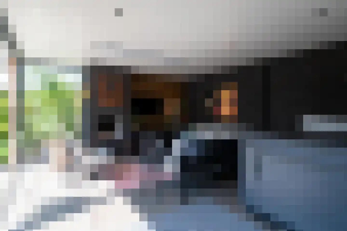 Dames Tijssenstraat 32 Putten thumbnail 45