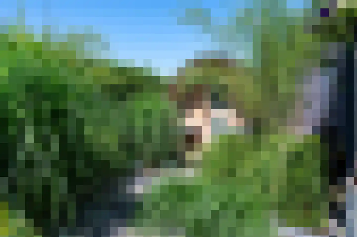 Dames Tijssenstraat 32 Putten thumbnail 51