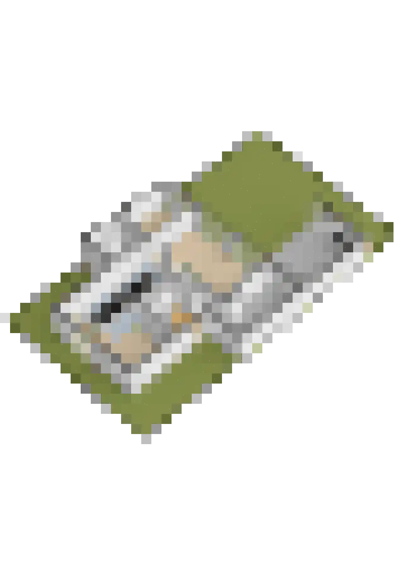 Dames Tijssenstraat 32 Putten thumbnail 63