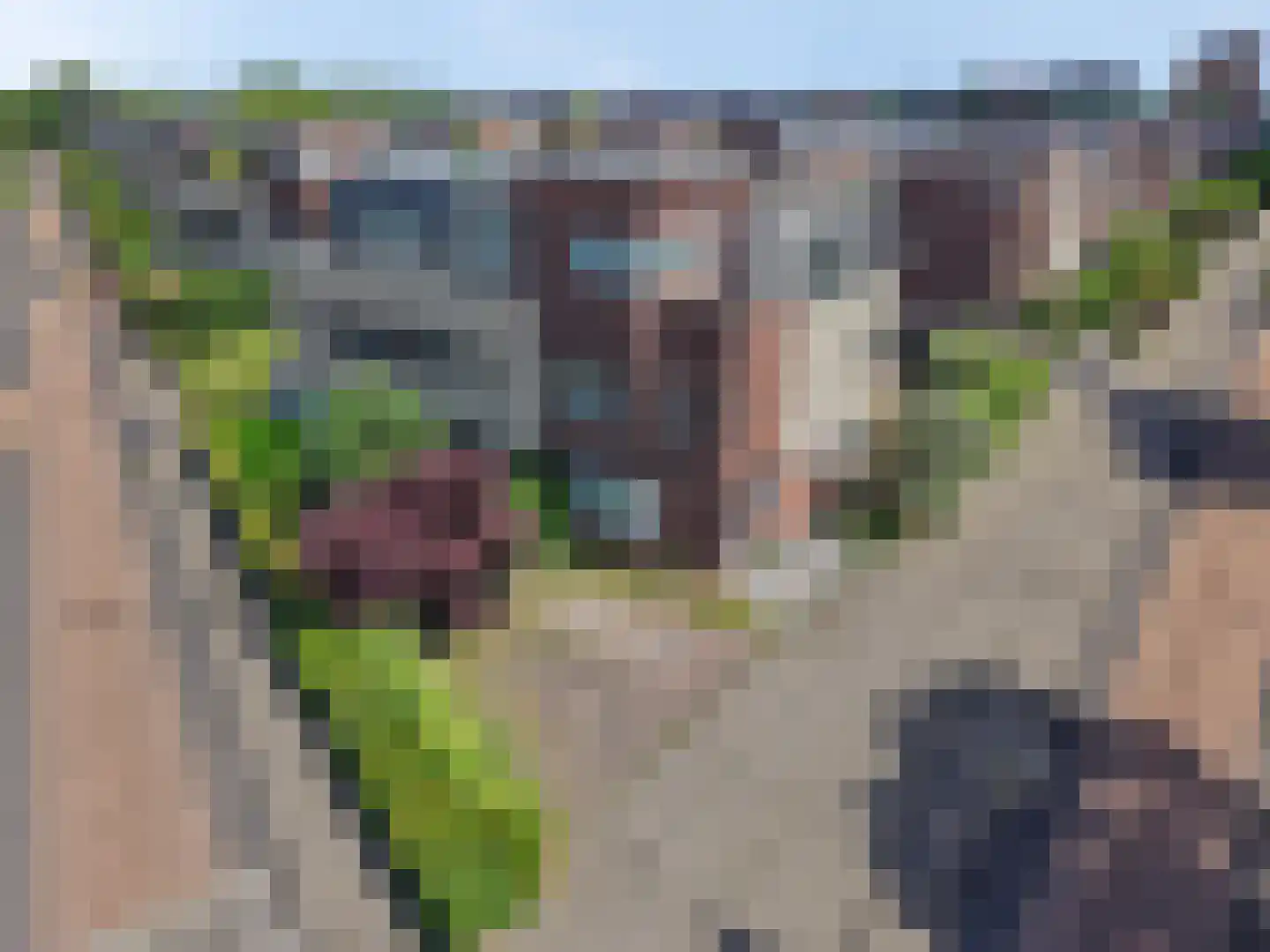 Damespolder 45 Amersfoort thumbnail 29