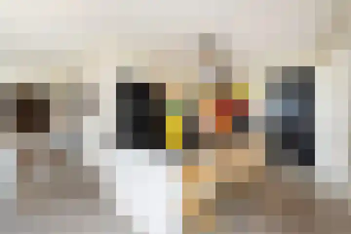 Damespolder 6 Amersfoort thumbnail 17