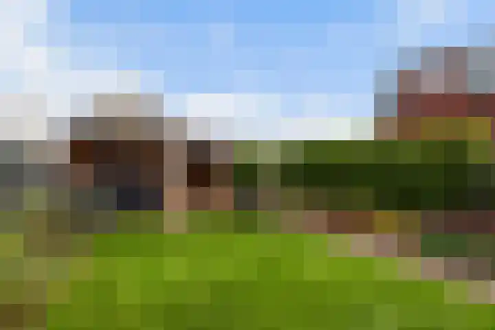 Damespolder 6 Amersfoort thumbnail 20