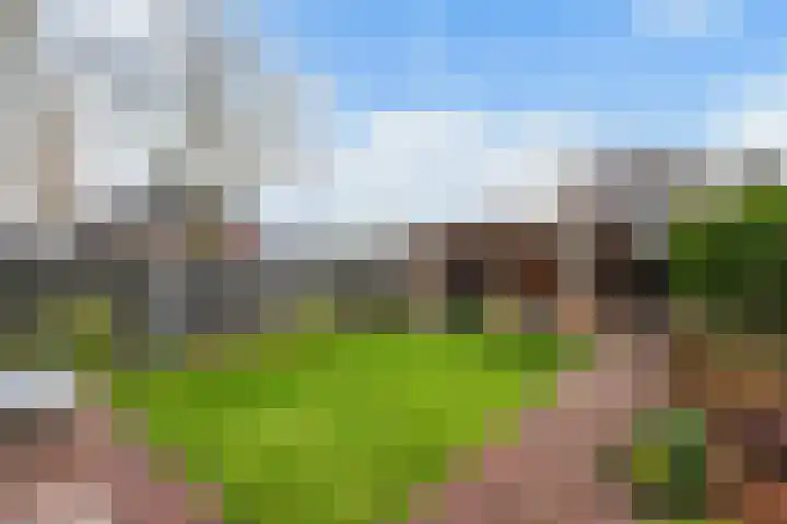 Damespolder 6 Amersfoort thumbnail 21