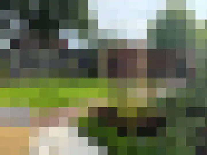 Damespolder 6 Amersfoort thumbnail 22
