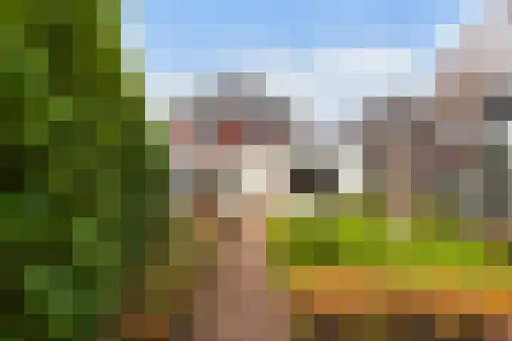 Damespolder 6 Amersfoort thumbnail 4