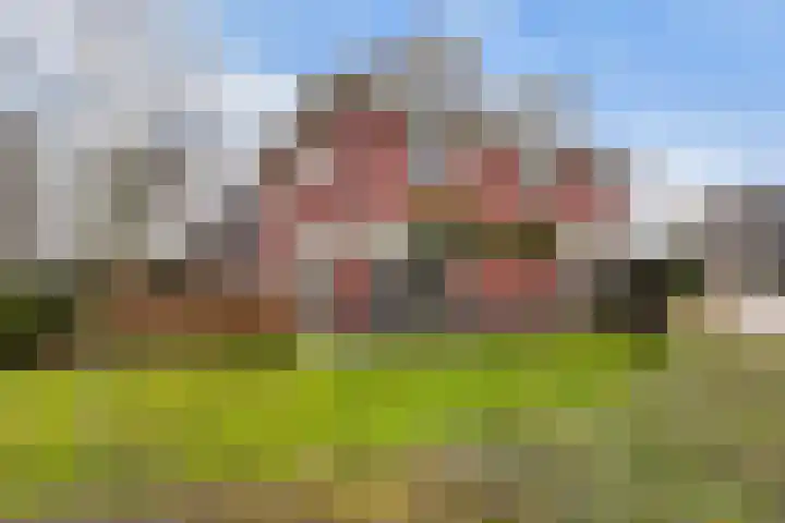 Damespolder 6 Amersfoort thumbnail 7