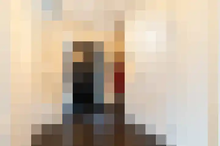 Damespolder 6 Amersfoort thumbnail 8